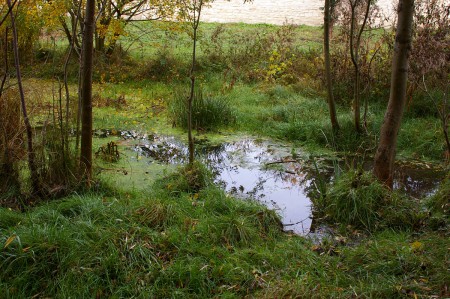 letohradek-a-obora-hvezda